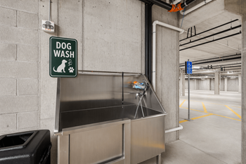 Dog wash station